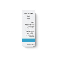 Anteprima: Dr. Hauschka Trattamento per labbra tese e soggette a formicolii: Trattamento per labbra Anteprima: Dr. Hauschka Trattamento per labbra tese e soggette a formicolii: Trattamento per labbra