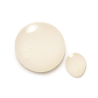 Anteprima: Shampoo Dr. Hauschka – Uno Shampoo senza silicone Anteprima: Shampoo Dr. Hauschka – Uno Shampoo senza silicone