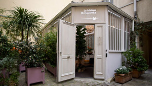 Indirizzi estetiste Dr. Hauschka Indirizzi estetiste Dr. Hauschka