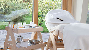 Formazione per estetiste Dr. Hauschka Formazione per estetiste Dr. Hauschka