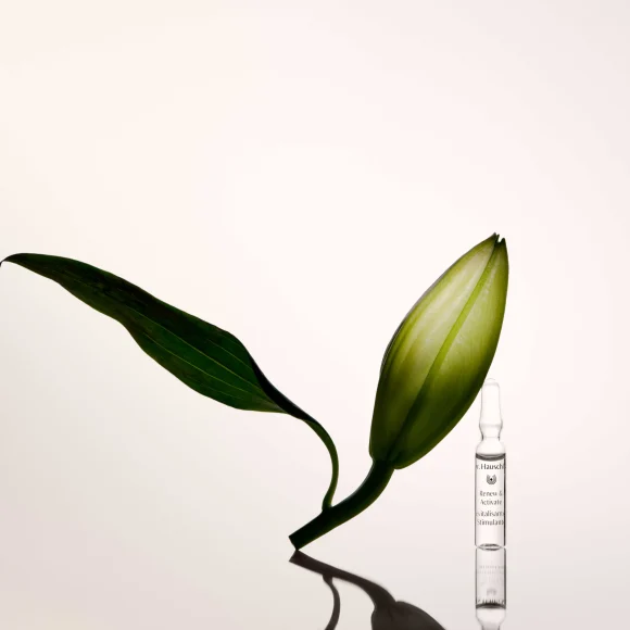 Dr.&nbsp;Hauschka