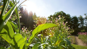 Domande sulla tutela dell'ambiente Dr. Hauschka Domande sulla tutela dell'ambiente Dr. Hauschka